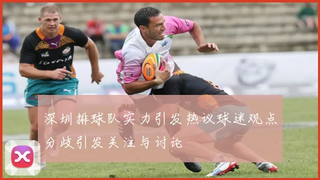 深圳排球队实力引发热议球迷观点分歧引发关注与讨论