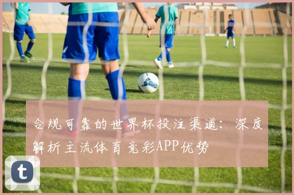 合规可靠的世界杯投注渠道：深度解析主流体育竞彩APP优势