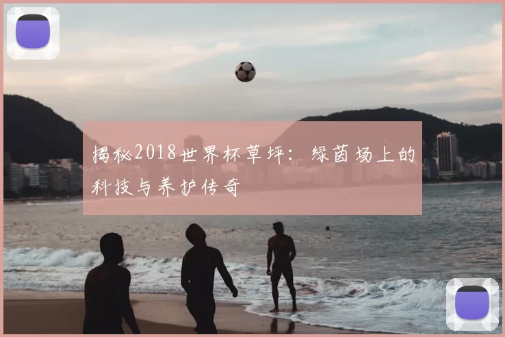 揭秘2018世界杯草坪:绿茵场上的科技与养护传奇