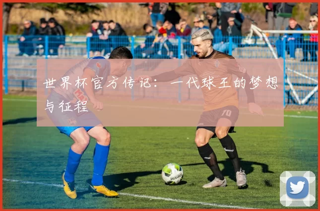 世界杯官方传记:一代球王的梦想与征程
