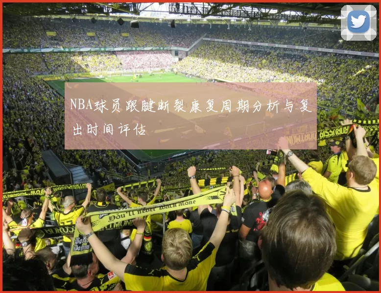 NBA球员跟腱断裂康复周期分析与复出时间评估