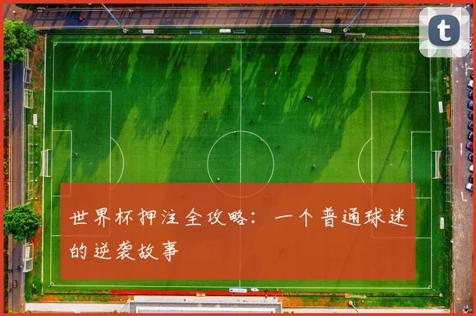 世界杯押注全攻略:一个普通球迷的逆袭故事