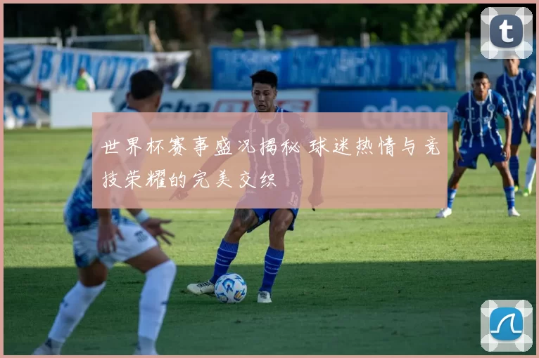 世界杯赛事盛况揭秘 球迷热情与竞技荣耀的完美交织