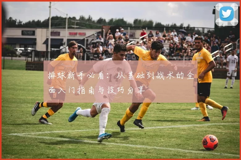 排球新手必看：从基础到战术的全面入门指南与技巧分享