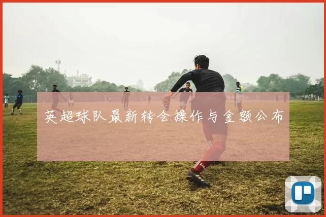 英超球队最新转会操作与金额公布