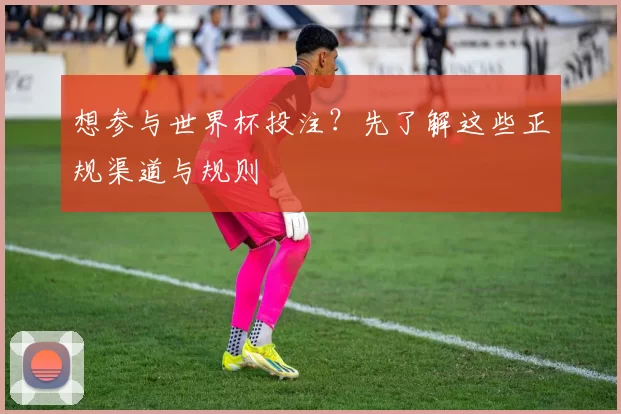 想参与世界杯投注?先了解这些正规渠道与规则