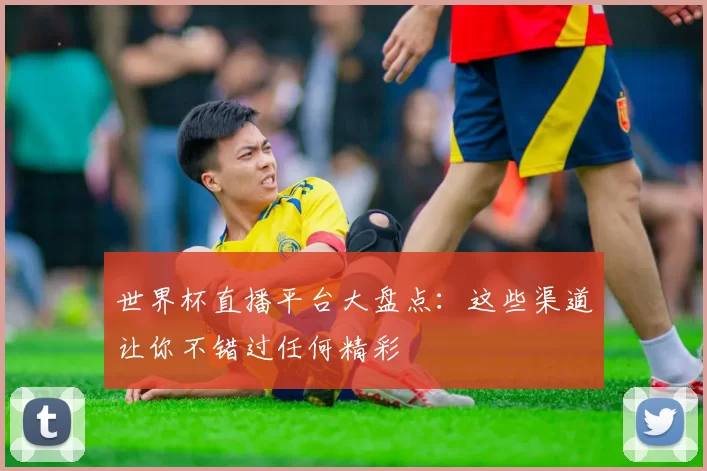 世界杯直播平台大盘点:这些渠道让你不错过任何精彩