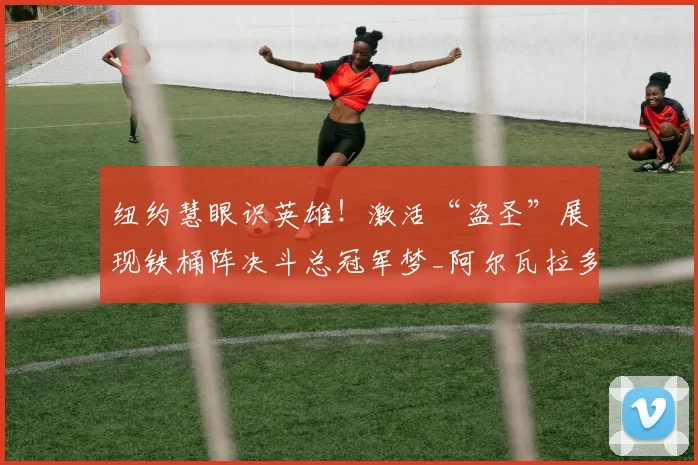 纽约慧眼识英雄！激活“盗圣”展现铁桶阵决斗总冠军梦_阿尔瓦拉多_纽约尼克斯_防守
