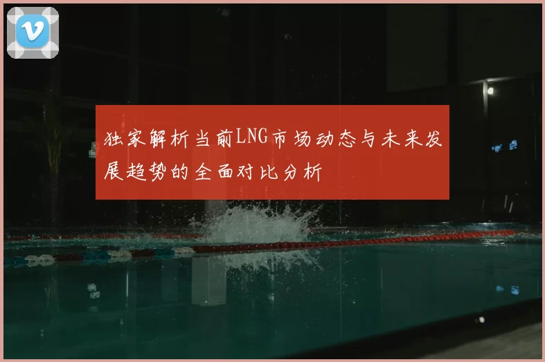 独家解析当前LNG市场动态与未来发展趋势的全面对比分析