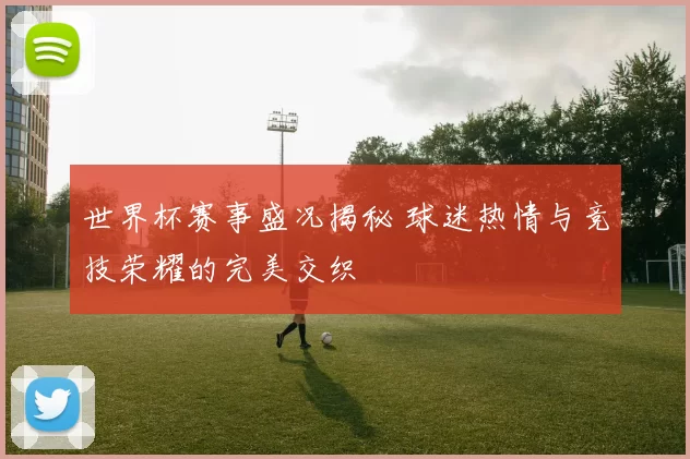 世界杯赛事盛况揭秘 球迷热情与竞技荣耀的完美交织
