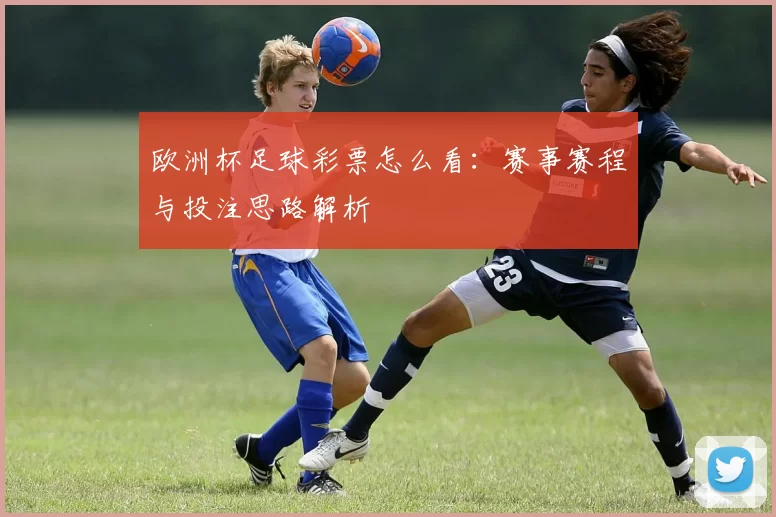 欧洲杯足球彩票怎么看:赛事赛程与投注思路解析