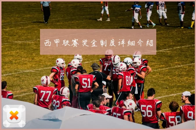 西甲联赛奖金制度详细介绍