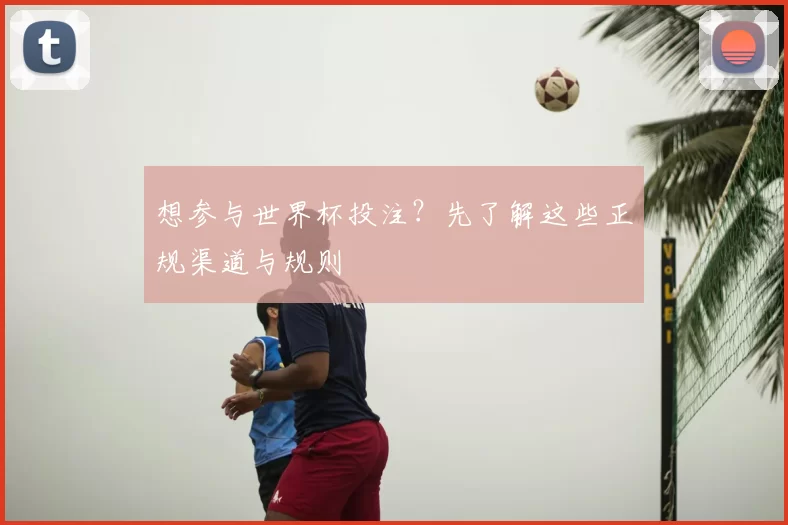想参与世界杯投注?先了解这些正规渠道与规则