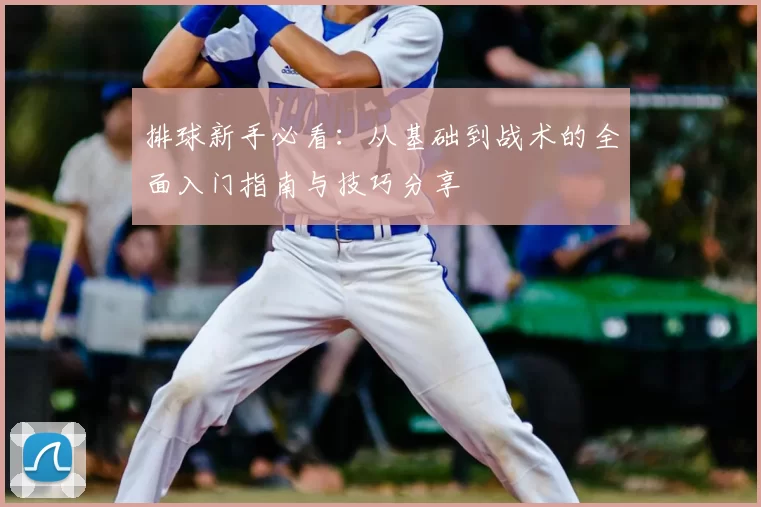 排球新手必看:从基础到战术的全面入门指南与技巧分享