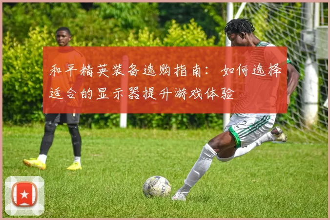 和平精英装备选购指南：如何选择适合的显示器提升游戏体验