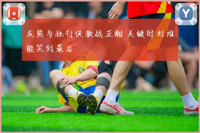 灰熊与独行侠激战正酣 关键时刻谁能笑到最后