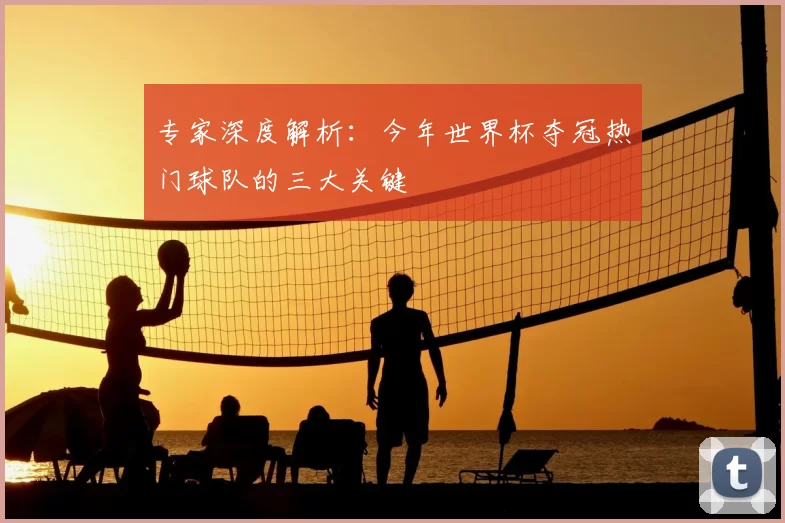 专家深度解析：今年世界杯夺冠热门球队的三大关键