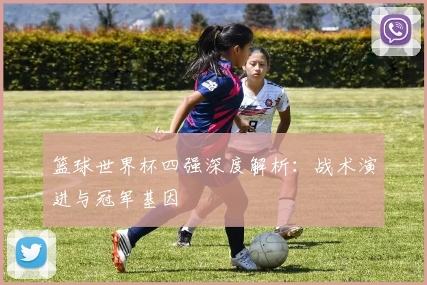 篮球世界杯四强深度解析:战术演进与冠军基因
