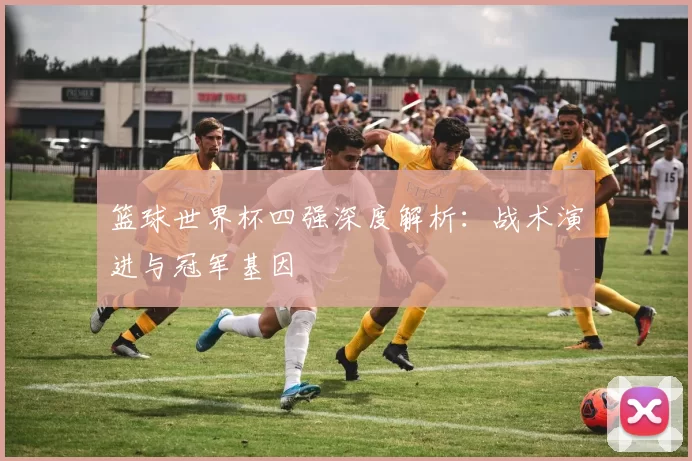 篮球世界杯四强深度解析：战术演进与冠军基因