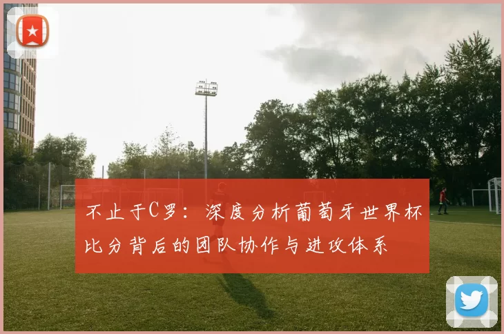 不止于C罗:深度分析葡萄牙世界杯比分背后的团队协作与进攻体系